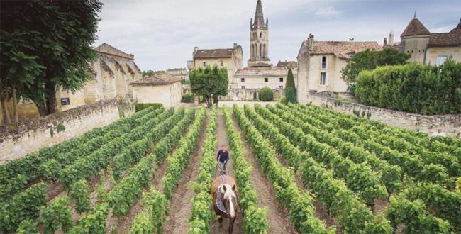 Hotel Clos Bernon Libourne Exterior foto